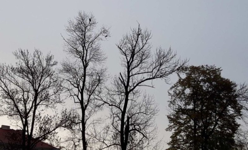 Četvrtak u “jesenjem tonu”! Sutra poslije podne naoblačenje uz lokalnu kišu i jak vjetar