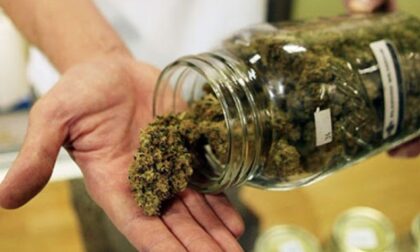 Olakšica za mnoge pacijente: BiH pokreće proces legalizacije medicinskog kanabisa