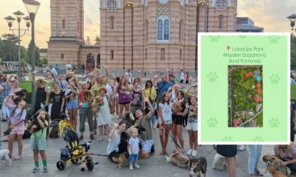 Ljubav prema životinjama ujedinjuje Banjaluku: Evo gdje je okupljanje za pomoć volonterima FOTO/VIDEO