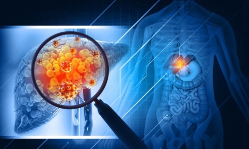 Koristi se vjekovima: Napitak od sjemenki ove biljke obnavlja masnu jetru