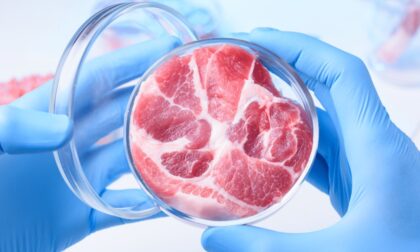 Mađarska usvojila zakon: Zabranjuje se proizvodnja i prodaja laboratorijskog mesa