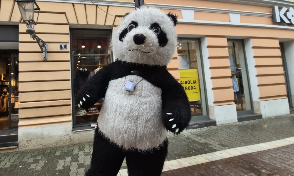 Obratite pažnju! Panda-Jagodinac šeta centrom grada FOTO/VIDEO