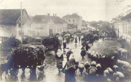 Gradonačelnik Vukovara traži odgodu izložbe “Srpkinja”: Stigao mu odgovor