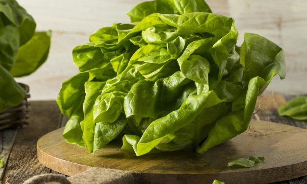 Kako osvježiti zelenu salatu? Nutricionista podijelila koristan savjet