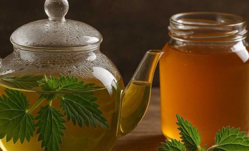 Obiluje vitaminima i mineralima: Kako se pije čaj od koprive i za šta je sve dobar
