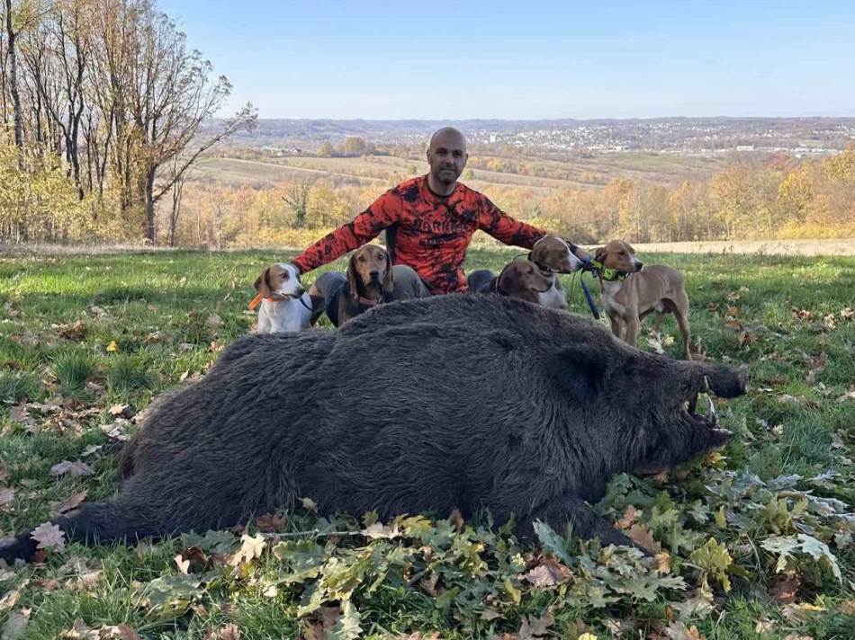 Kapitalni ulov u Prnjavoru: Duško Miodanić odstrijelio grdosiju tešku 224 kilograma