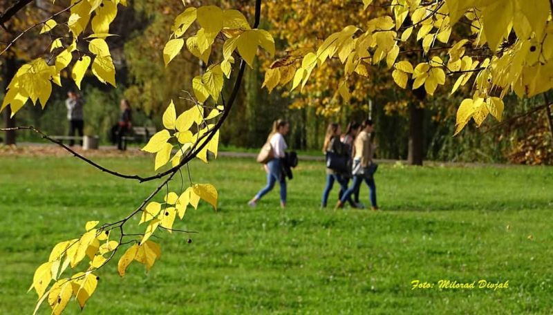 Sunčan i topao dan pred nama, poslije podne prolazna umjerena oblačnost
