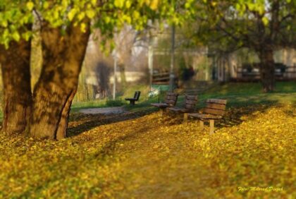 Danas toplo uz sunčane periode, od večeri jača kiša na sjeverozapadu