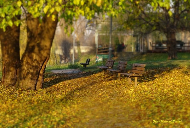 Sutra sunčano, po kotlinama i uz rijeke maglovito i hladnije: Temperatura do 17 stepeni