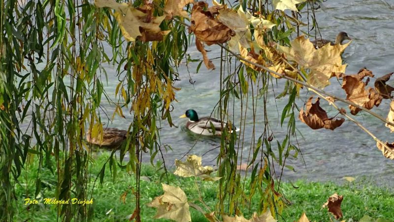 Danas toplije, na istoku do 18 stepeni: Uveče zahlađenje