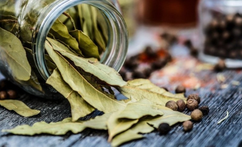 Vjerovanje: Da li lovorov list ispod otirača donosi novac?