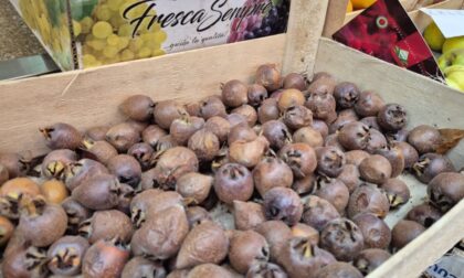 Ne znate šta je mušmula?! Nemojte propustiti super slatkiš pozne jeseni FOTO