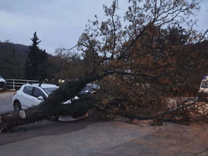 Haos u Rijeci: Vjetar rušio stabla, bura prevrnula kamper