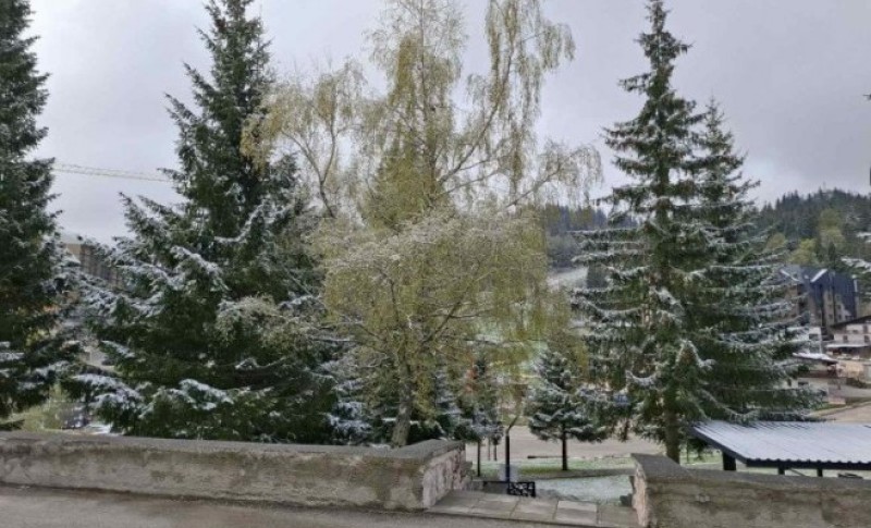 Snijeg pada na Bjelašnici, Јahorini i Vlašiću: Zabijelile planinske ljepotice u BiH