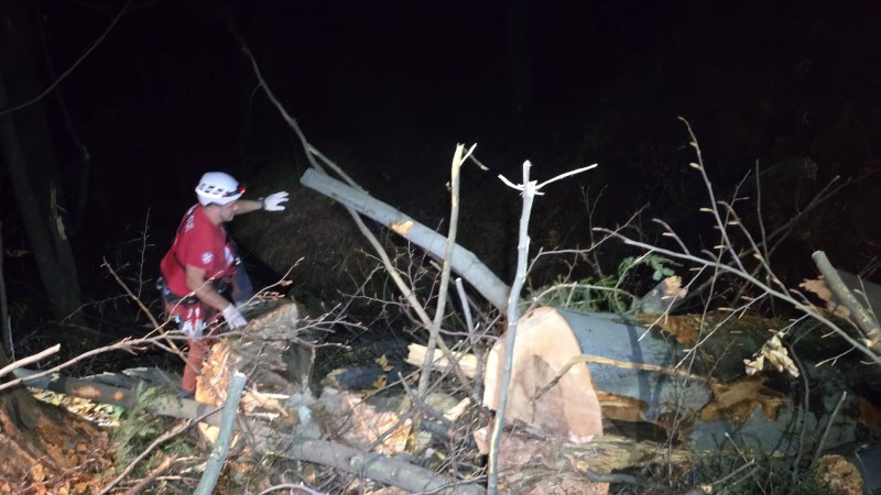 Još jedna tragedija uznemirila BiH: Mladić poginuo tokom radova u šumi