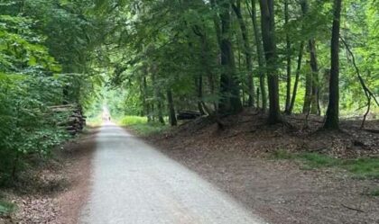 Poštena žena! U šumi pronašla kutiju sa 360.000 evra, pa završila na sudu