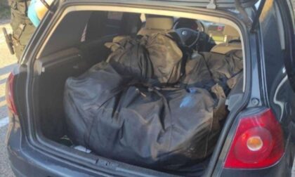 Velika akcija MUP-a Srpske: Pronađena velika količina skanka, uhapšena četvorka