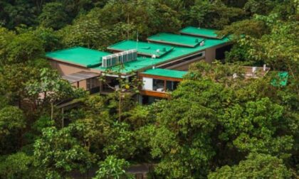 Noćenje u džungli – da, moguće je: Evo koliko novca vam treba za “stakleni kavez” FOTO