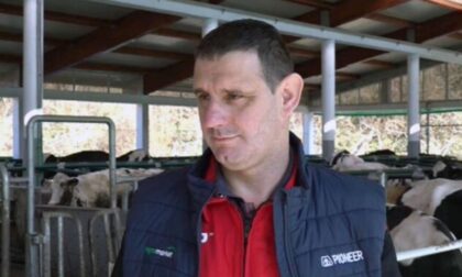 Situacija jako loša, stočari strahuju: Cijene sve niže, a otkupa sve manje