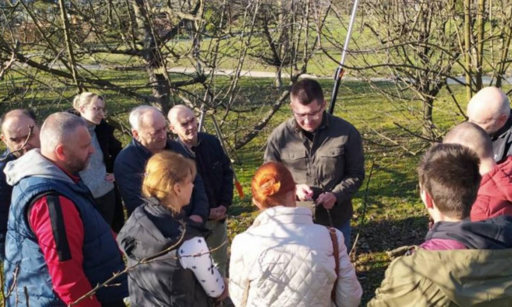 I ovo smo zaboravili! Evo gdje možete brzo naučiti kako se kalemi voće FOTO