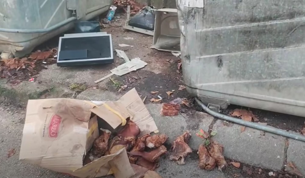 Ružna slika u Banjaluci: Bacili kutiju punu suvog mesa pored kontejnera VIDEO