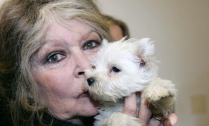 Tokom života zaradila ogromne pare: Kome će pripasti bogatstvo Brižit Bardo