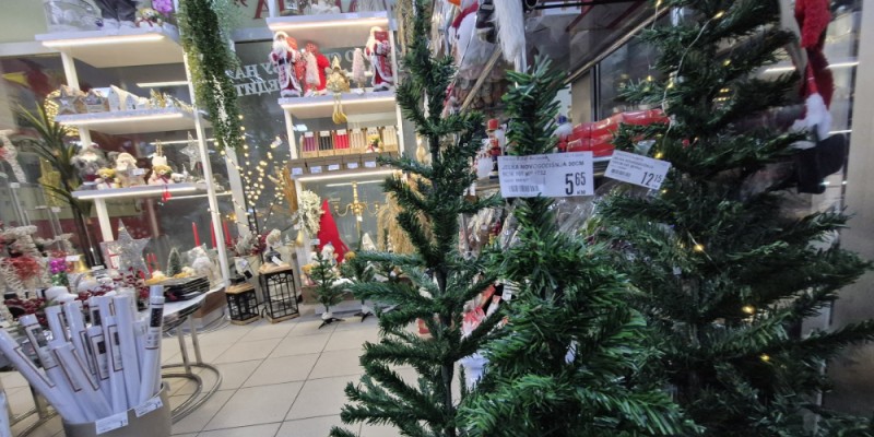 U potrazi za jelkom! Za visoko drvce visoka i cijena: Evo koliko vam para treba FOTO