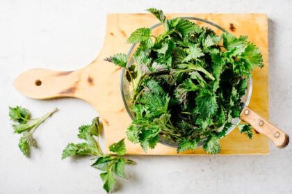 Bila je broj 1, a sada se slabo koristi: Zelena moć prirode nalazi se u ovoj biljci