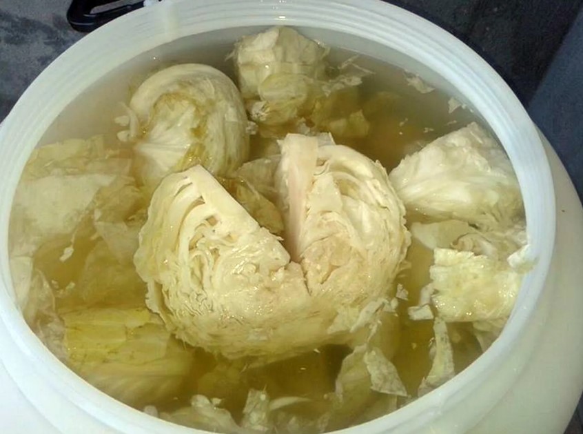 Zašto kupus ne fermentira nakon što ga stavite u bure?