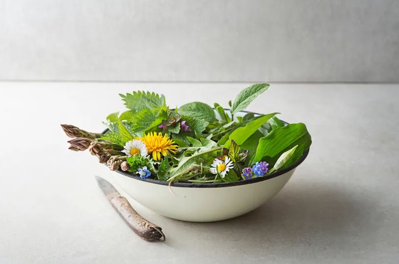 Važi za najzdraviju biljku na našim prostorima, a svi je izbjegavaju: Liječi svašta, za imunitet je zakon