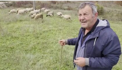 Životna priča pastira iz BiH: Kad vidim oženjene, drago mi je što se nisam ženio VIDEO