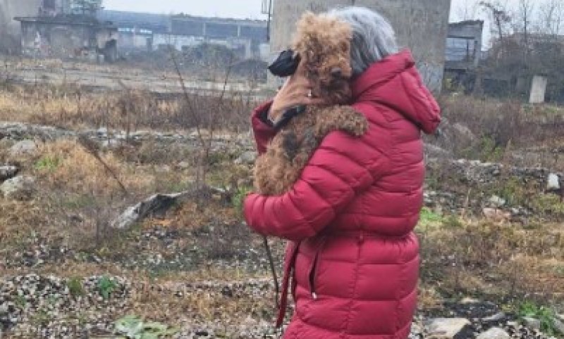 Srećan kraj potrage! Pronađen pas Floki koji je Banjaluku “digao na noge”