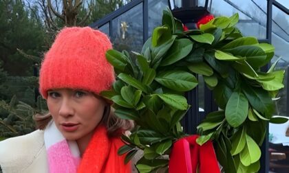 Zaboravite jelke: Lovor višnja je nova hit dekoracija za praznike VIDEO