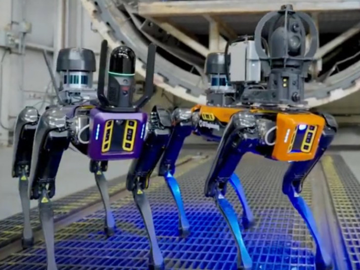 Automatizacija inspekcije: Robotski pas nova era kontrole viskija