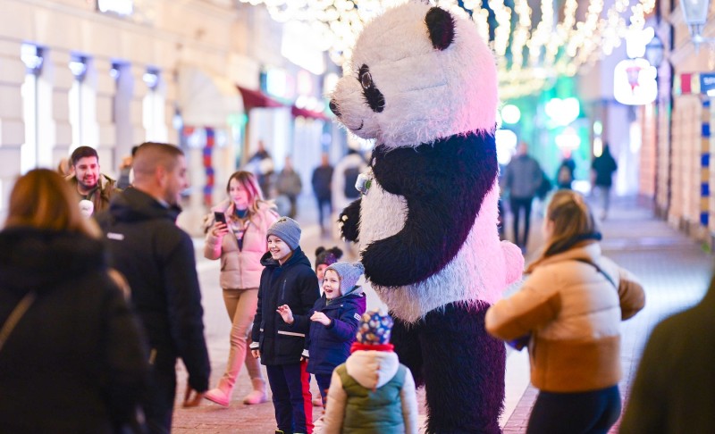 Praznična čarolija obasjala grad: Banjaluka obećava spektakularnu proslavu Nove godine