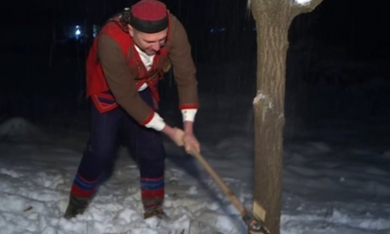 Badnje jutro u laktaškom kraju: Usijecanje badnjaka u Velikom Blašku i Čardačanima