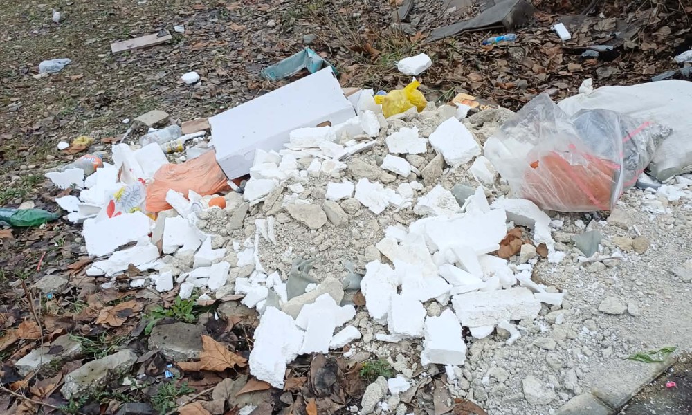 Banjalučanka u nevjerici: Otpad iz kontejnera istresli na livadu, iz Čistoće savjetuju ovo FOTO