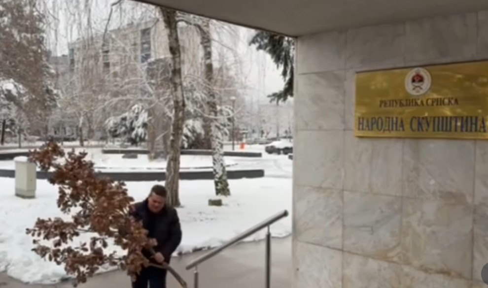 Stevandić unio badnjak u Narodnu skupštinu: Neka je svima sretan Badnji dan VIDEO