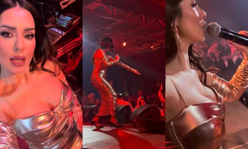 Tanja Savić blistala u Banjaluci: U zlatnom održala koncert za pamćenje