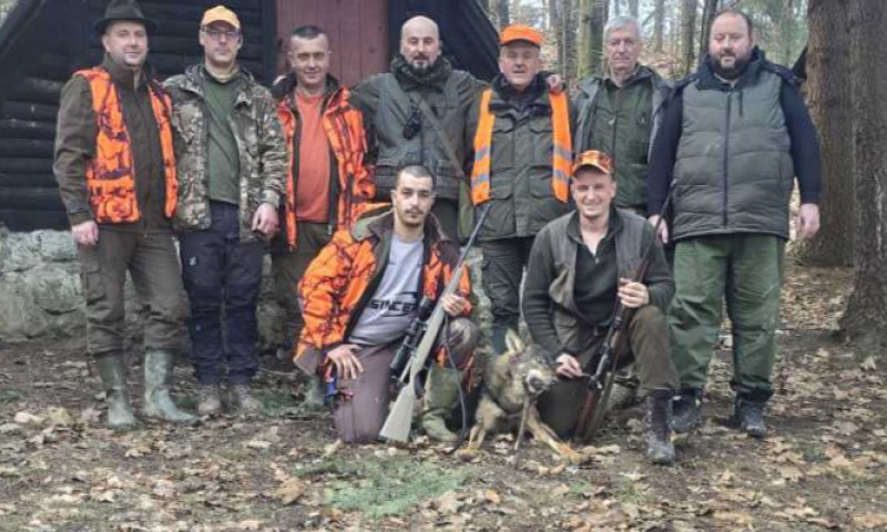 Tokom lova na divlje svinje: Odstrijeljen vuk u dobojskom naselju Lipac