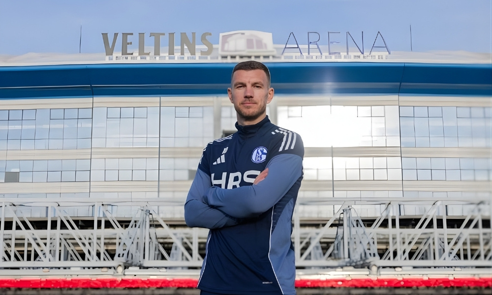 Naslovna slika br 41