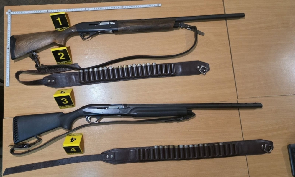 Zaradio krivičnu prijavu: Ciljao psa lutalicu, pogodio brata