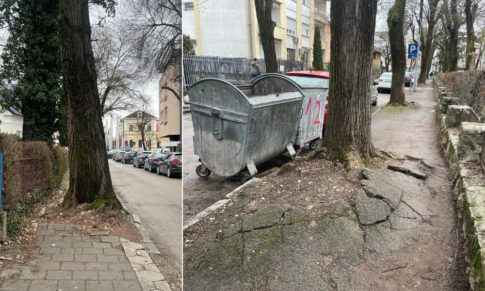 Borba drveća i trotoara muka za pješake! Ima li ko rješenje za ovu banjalučku ulicu FOTO