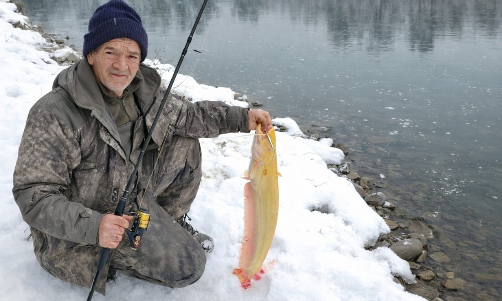 Ulov za pamćenje: Ribolovac naišao na izuzetno rijedak primjerak soma