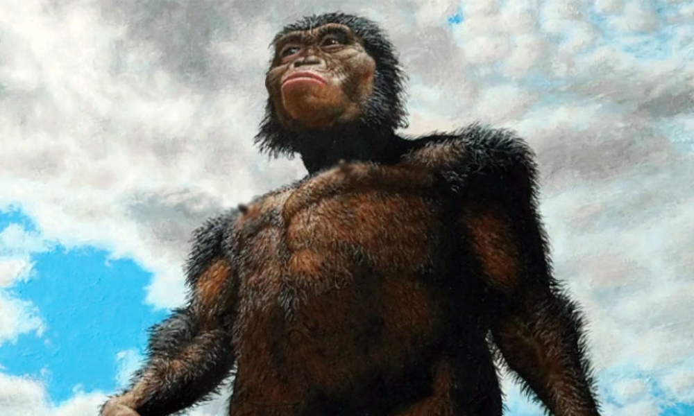 Počeci uspravnog hoda: Ljudi hodali na dvije noge prije sedam miliona godina