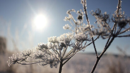 Danas pretežno sunčano i hladno: Maksimalna temperatura do 12 stepeni