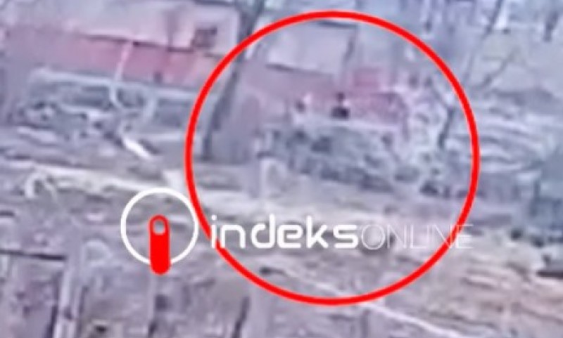 Filmske scene! Crnogorac ukrao pse iz dvorišta, pa skakao sa drugog sprata tužilaštva VIDEO