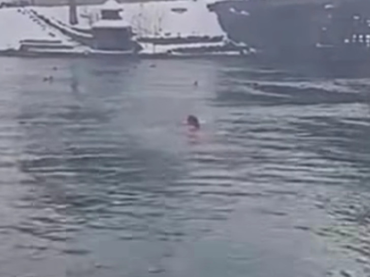 Tradicija! Meha se i ove godine okupao u hladnoj Uni VIDEO