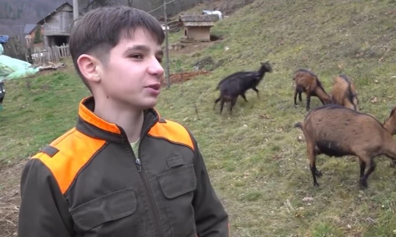 Svaka čast! Mališan svaki dan odlazi na selo da pomogne svojoj baki, obožava rad u štali VIDEO