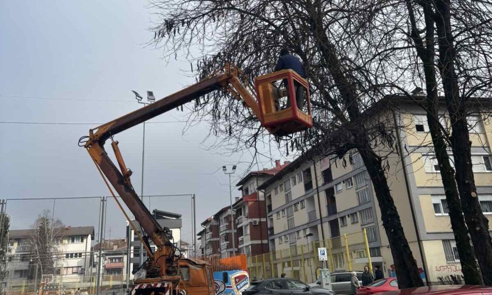 Redovne aktivnosti: U toku orezivanje stabala na nekoliko lokacija u Banjaluci
